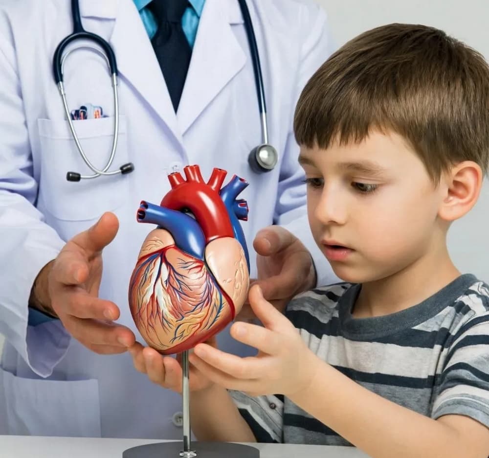 Особенности сердца ребенка: артериальное давление