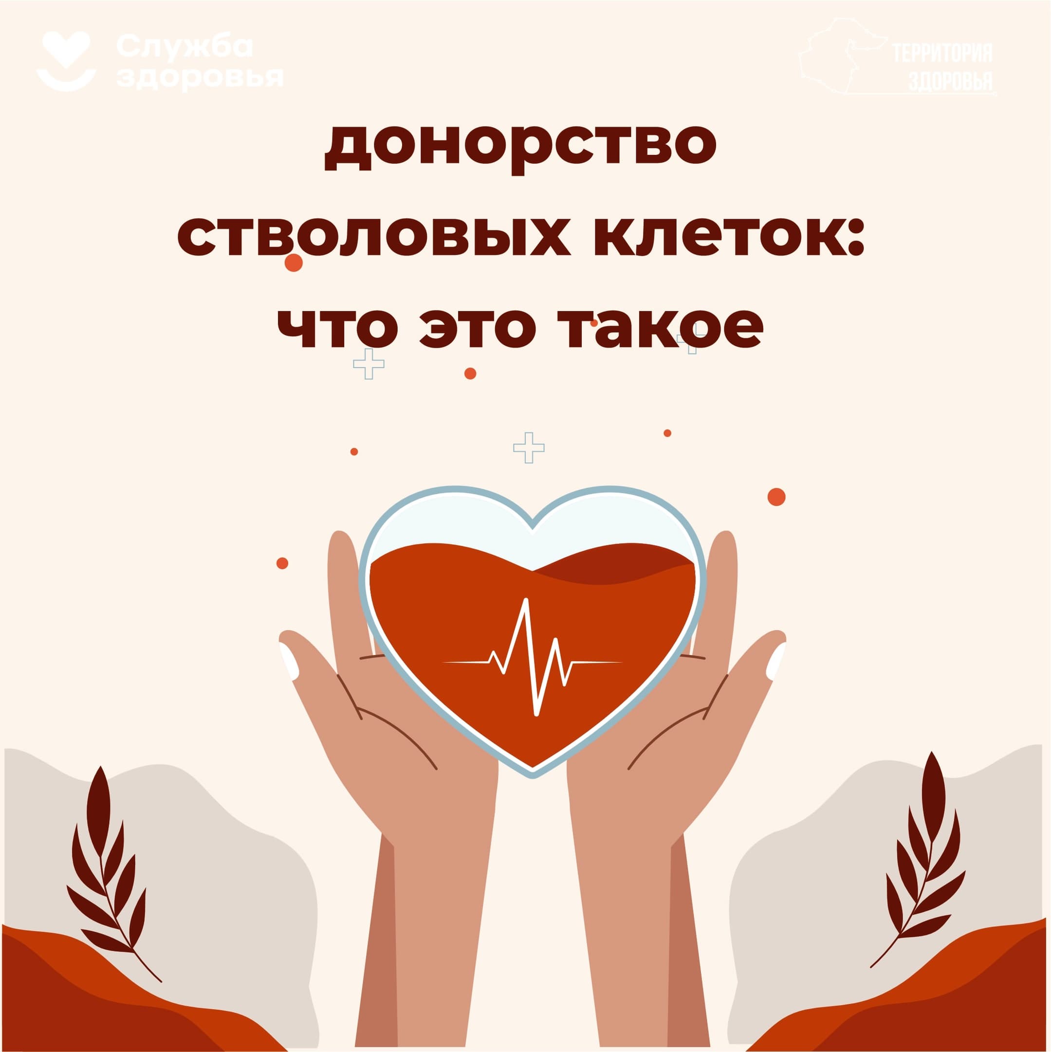 Донорство стволовых клеток: что это такое и как оно помогает в лечении тяжёлых заболеваний