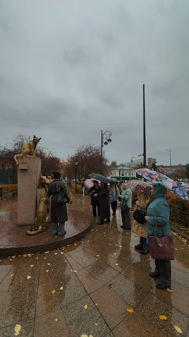 Ура! Вместе с волонтёрами серебряного возраста мы опробовали один из маршрутов проекта «Сибирские прогулки»!